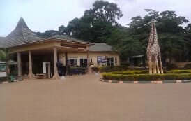 My Fun-filled Day At Uganda Wildlife Education Center